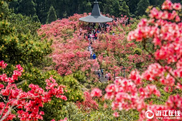 新西兰天气预报_新西兰特卡波湖天气预报15天