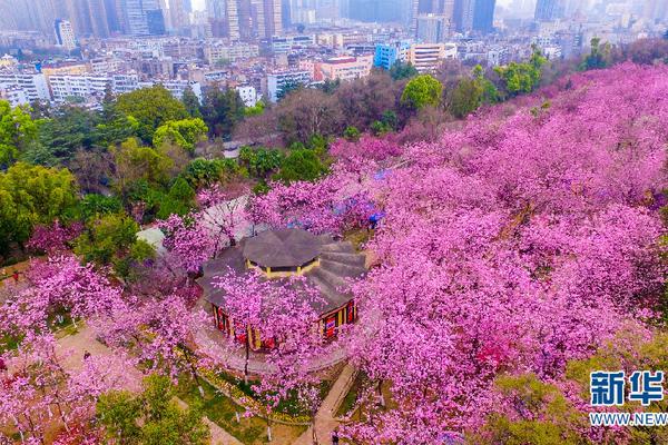 韶关市区未来40天的天气预测