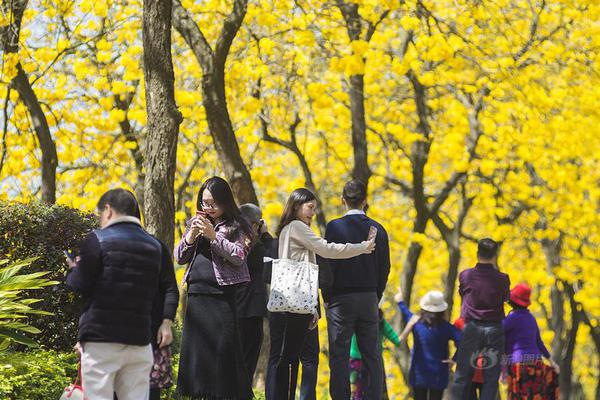 菏泽十五天天气预报15天_山东菏泽十五天天气预报15天查询