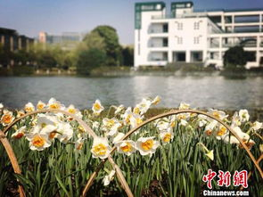 重庆市丰都县天气_重庆市丰都县近期15天天气预报视频